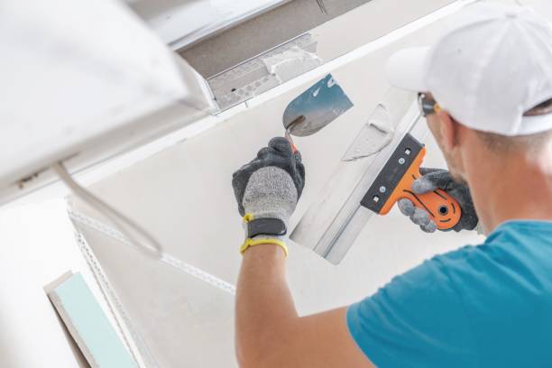 Reliable Groesbeck, TX Mold Removal Solutions